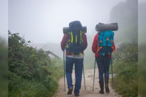 Uttarakhand abrirá 15 senderos en la jungla menos explorados para excursionistas a partir de abril