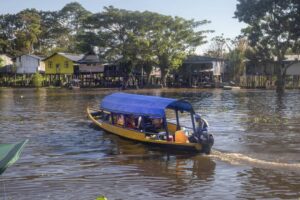 Descubre los secretos del río Amazonas en una aventura de por vida
