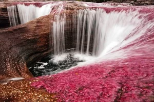Caño Cristales