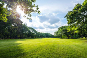 El primer parque temático védico del país se construirá en Noida
