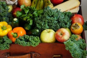 alimentos transgénicos