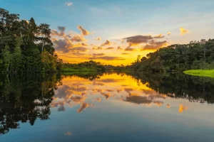 La belleza de la exploración del Amazonas
