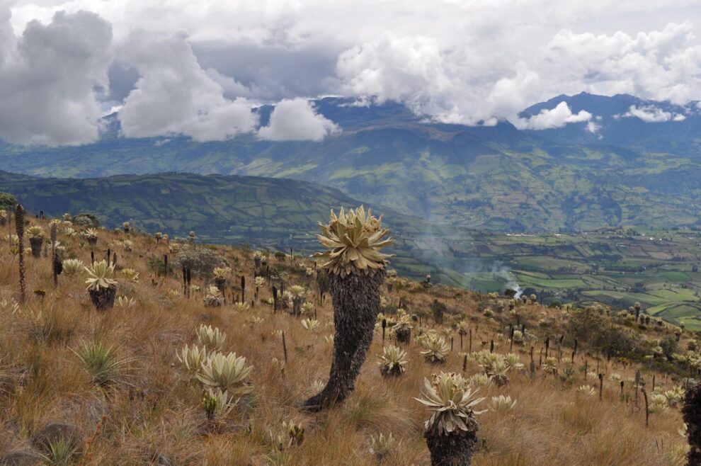 Descubriendo la belleza de Cumbal y Galeras: Un tesoro colombiano