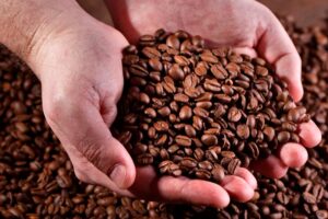 Descubre el encanto de las Zonas Cafeteras: Un viaje inolvidable
