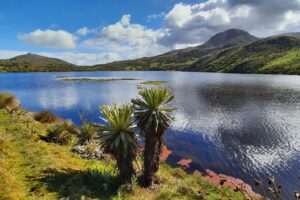 Explorando la belleza natural del Páramo de Ocetá: Un paraíso oculto en Colombia