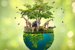 Explorando la importancia de la diversidad biológica en nuestro planeta