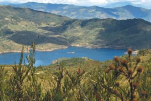 Explorando las Maravillas del Páramo de Chingaza: Un Paraíso Natural