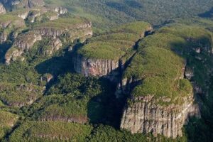 Selva de la Macarena
