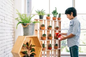 Consejos para el cuidado de plantas de interior: Todo lo que necesitas saber