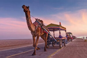Dhordo de Gujarat premiado como Mejor Pueblo Turístico 2023