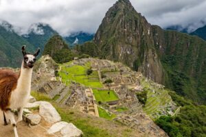 Machu Picchu