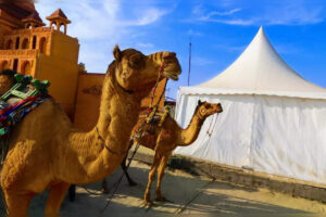 Rann Utsav: el espectacular festival del desierto de Gujarat
