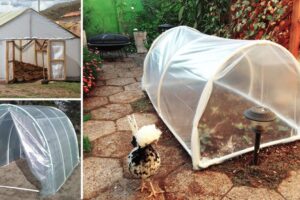 Cómo montar viveros caseros: Guía paso a paso